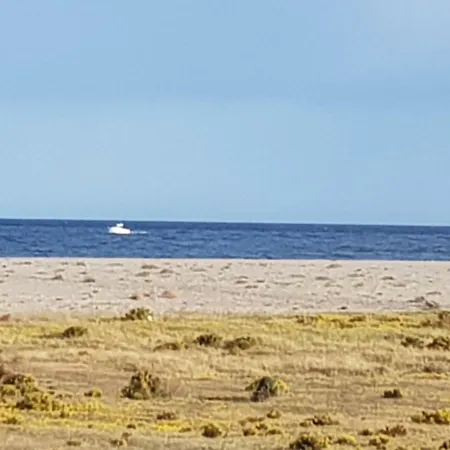 Veralma Vera